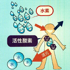 水素水は悪玉活性酸素を除去します。